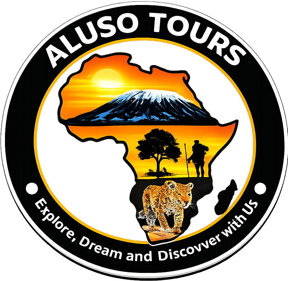 Aluso Tours