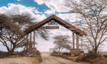 4 Days Serengeti, Ndutu & Ngorongoro Safari Adventure