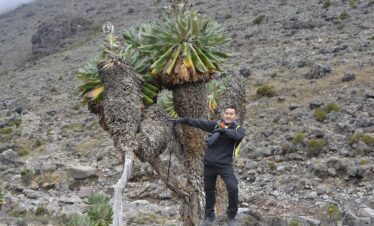 Umbwe Route Kilimanjaro