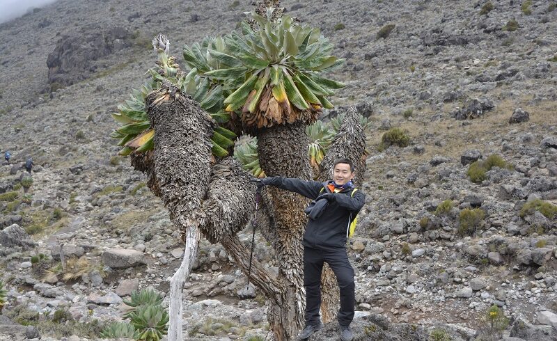 Umbwe Route Kilimanjaro