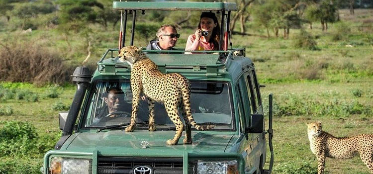 Camping-Safari-Tanzania-2.webp