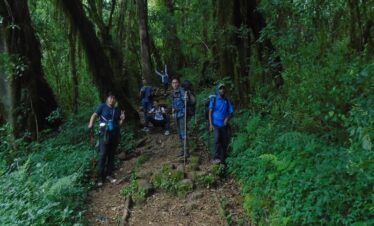kilimanjaro