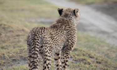 Arusha National Park