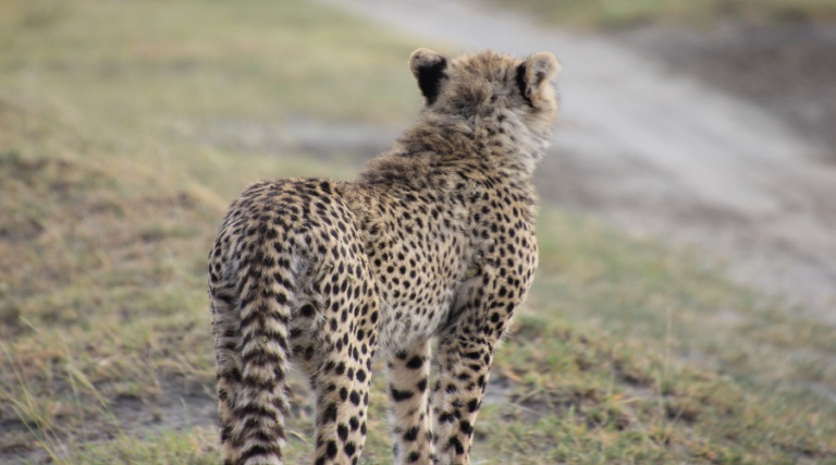 Arusha National Park