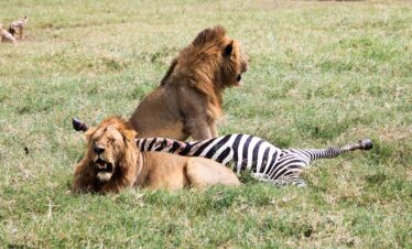 Tarangire National Park