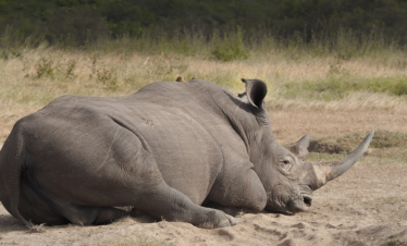Tarangire National Park