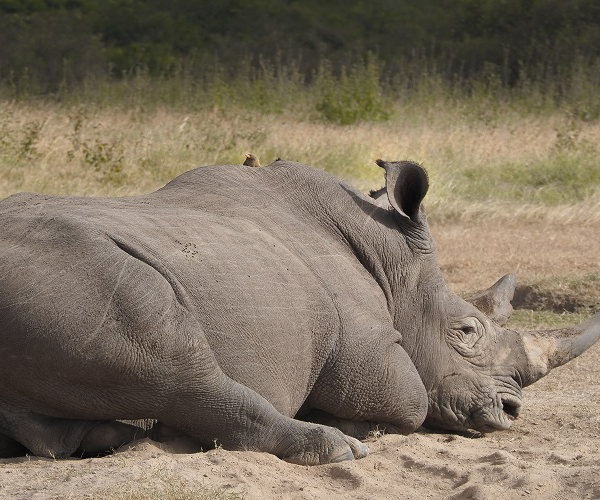 Tarangire National Park