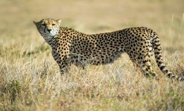 Lake Manyara National Park