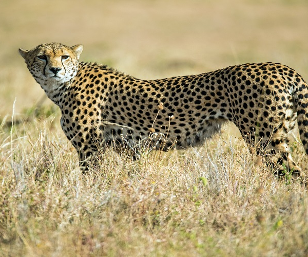 Lake Manyara National Park