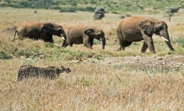 Lake Manyara National Park