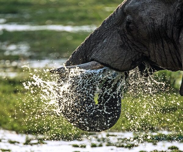 Lake Manyara National Park