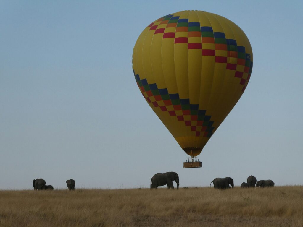 Balloon Safari