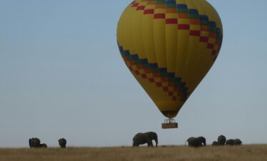 Balloon Safari