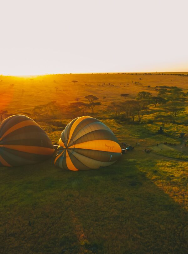 Balloon Safari