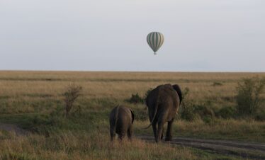 Balloon Safari
