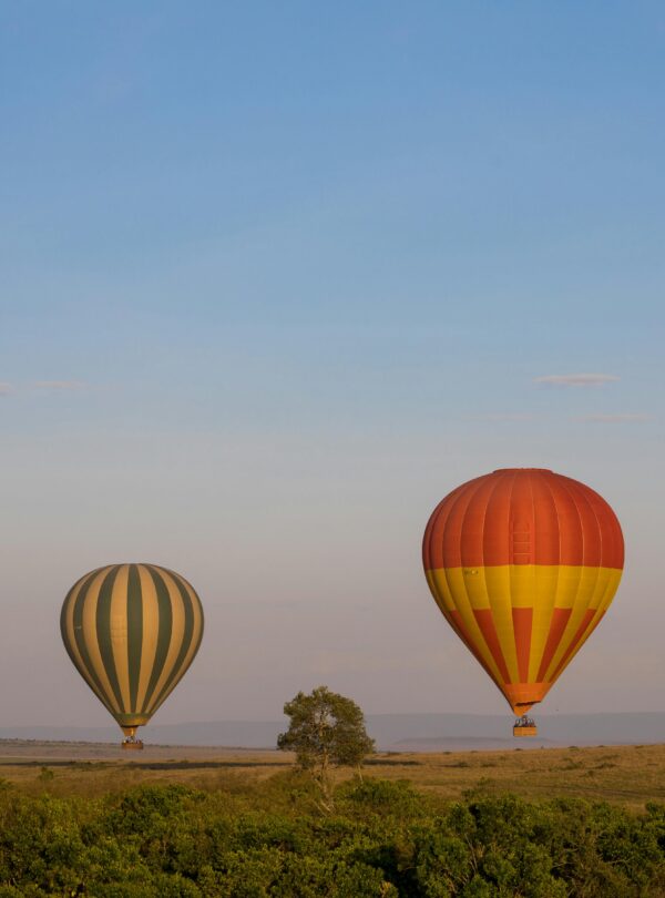 Balloon Safari