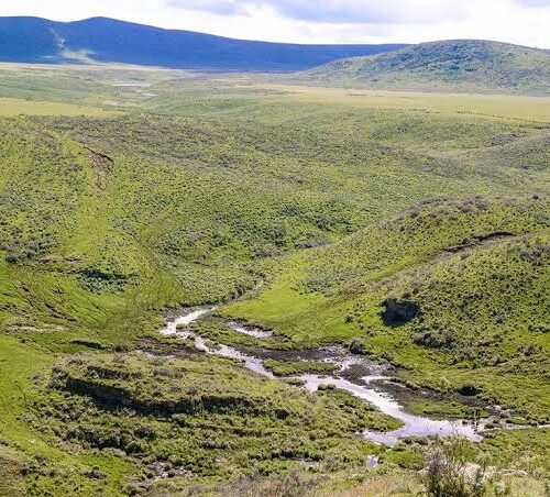 5-Day Ngorongoro Highlands Trek to Lake Natron