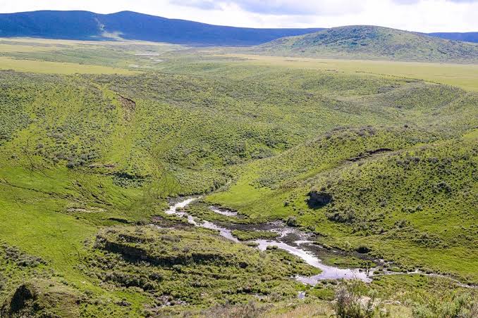 5-Day Ngorongoro Highlands Trek to Lake Natron