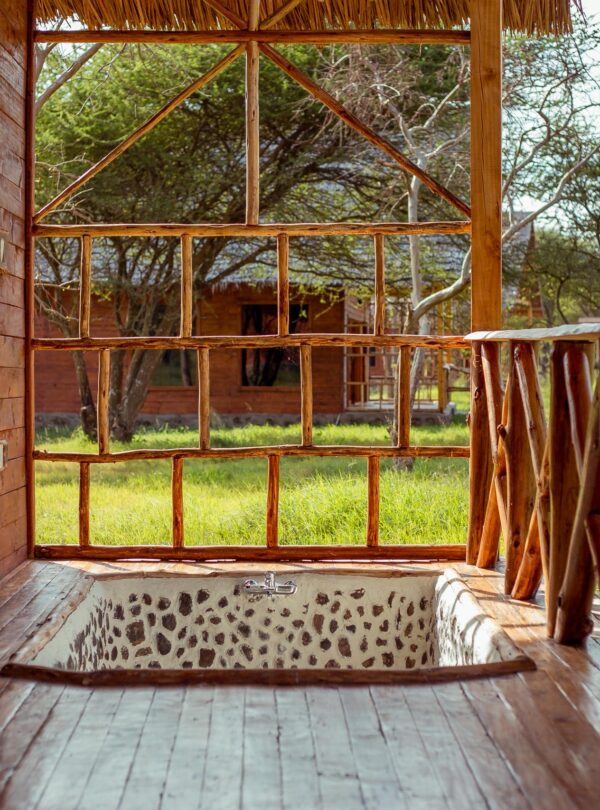 Serval Wildlife day trip near Moshi Tanzania