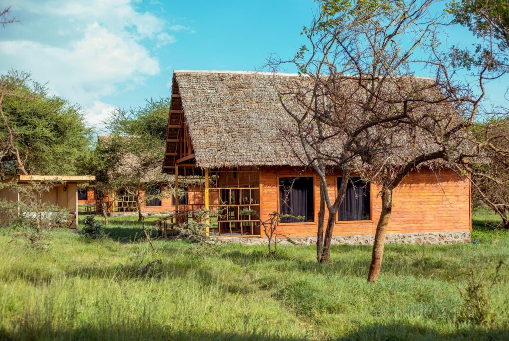 Serval Wildlife Day Trip from Moshi or Arusha