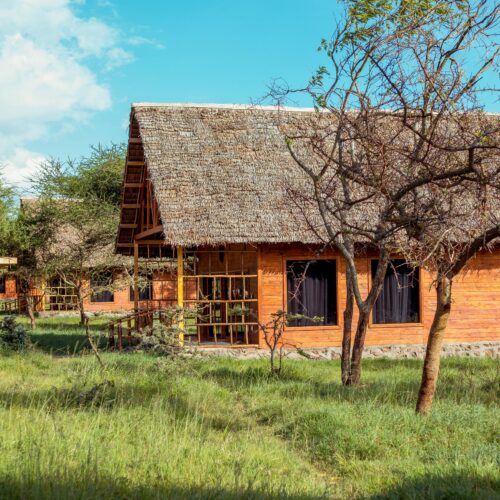 Serval Wildlife Day Trip from Moshi or Arusha