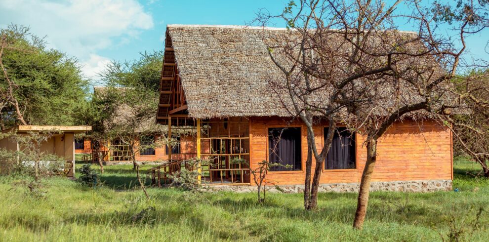Serval Wildlife Day Trip from Moshi or Arusha