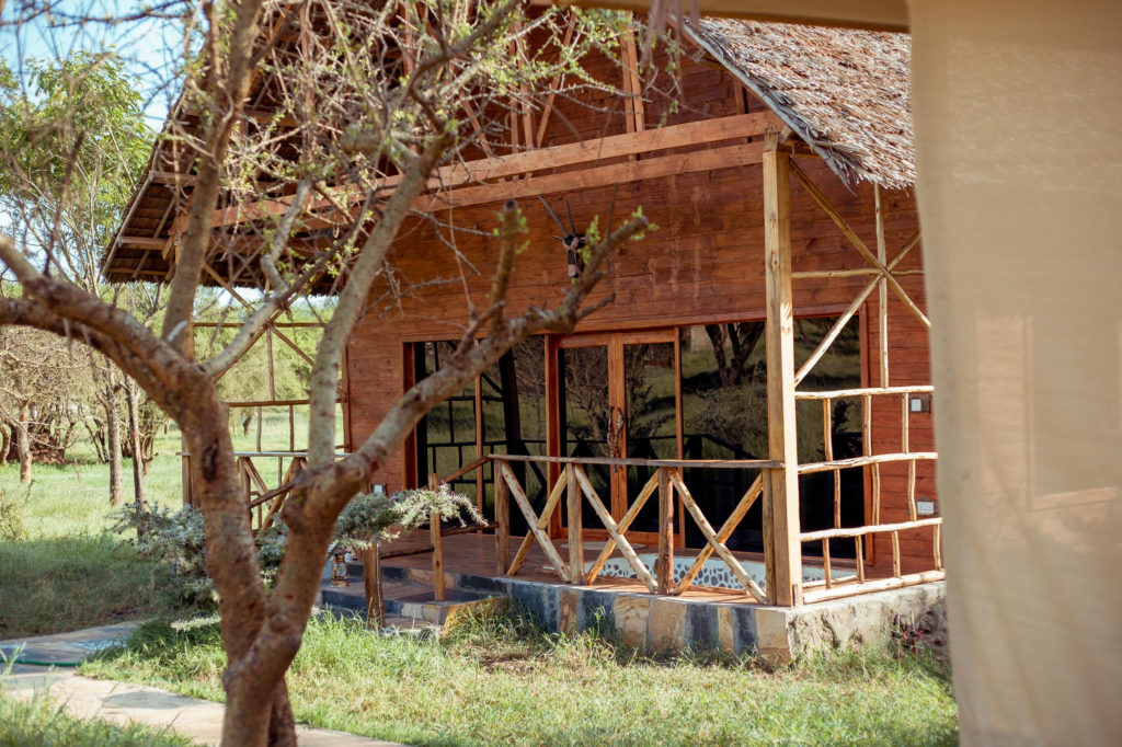 Serval Wildlife Day Trip from Moshi or Arusha