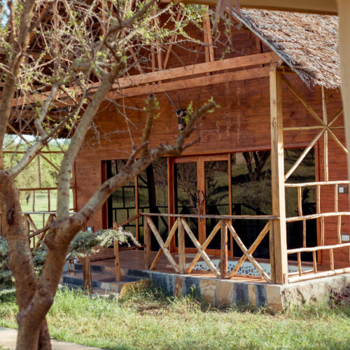 Serval Wildlife Day Trip from Moshi or Arusha