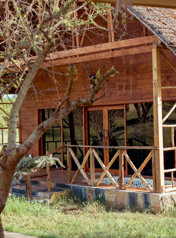 Serval Wildlife Day Trip from Moshi or Arusha